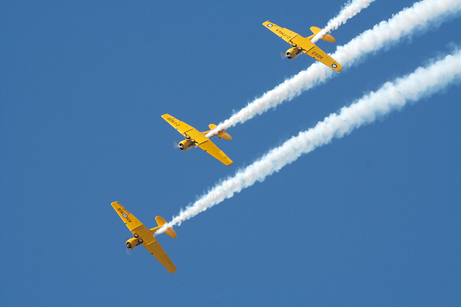 Harvards