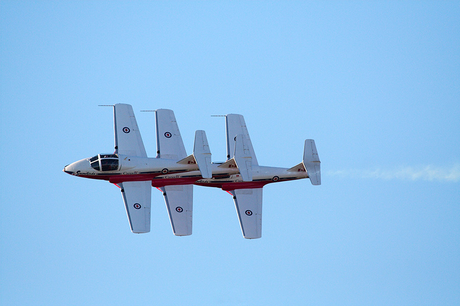 Snowbirds