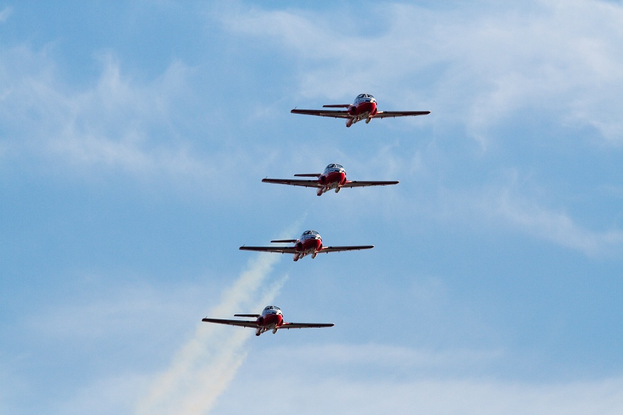 Snowbirds