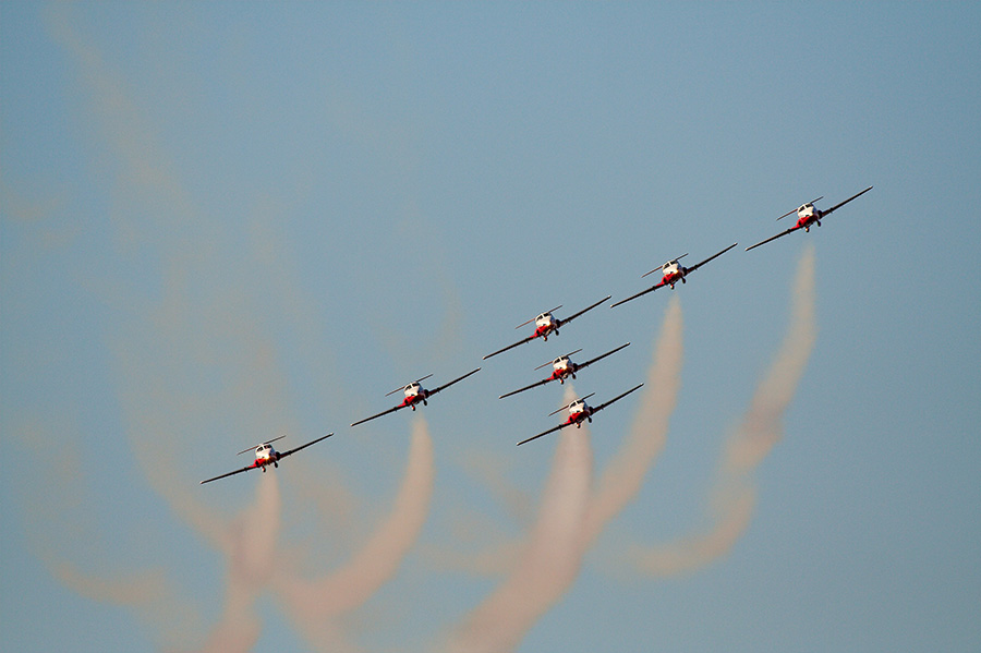 Snowbirds