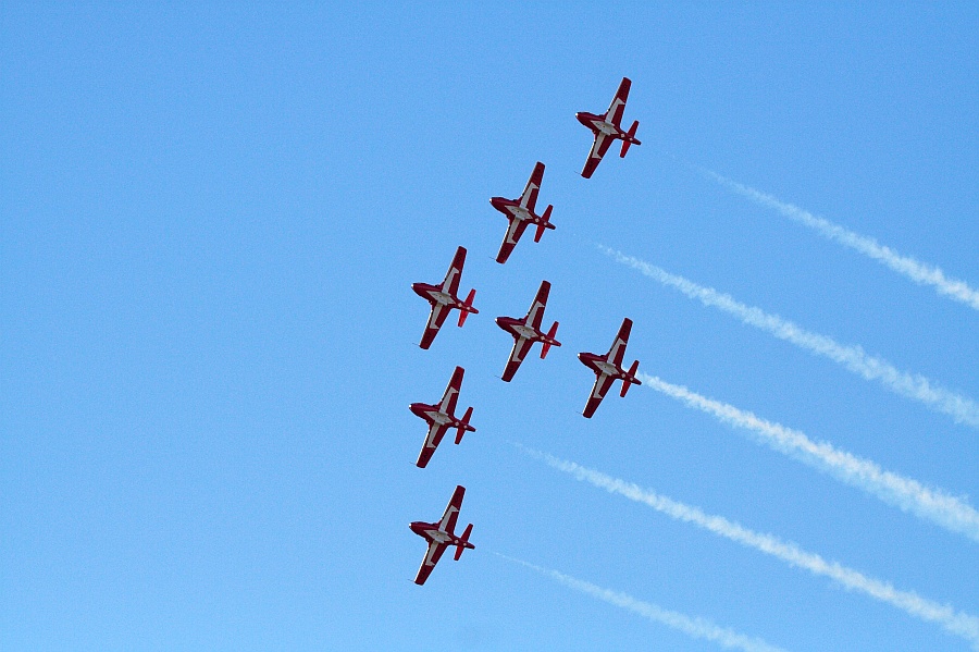Snowbirds