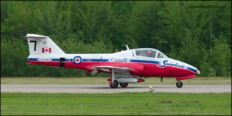 Snowbirds