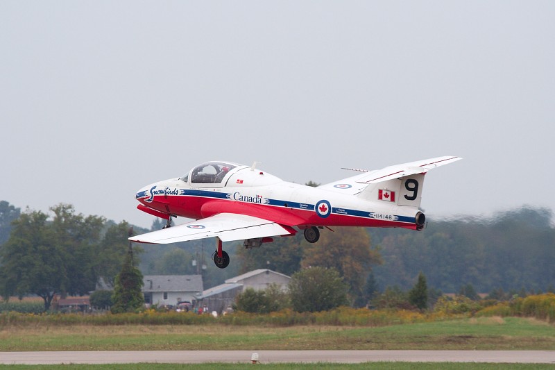 Snowbird