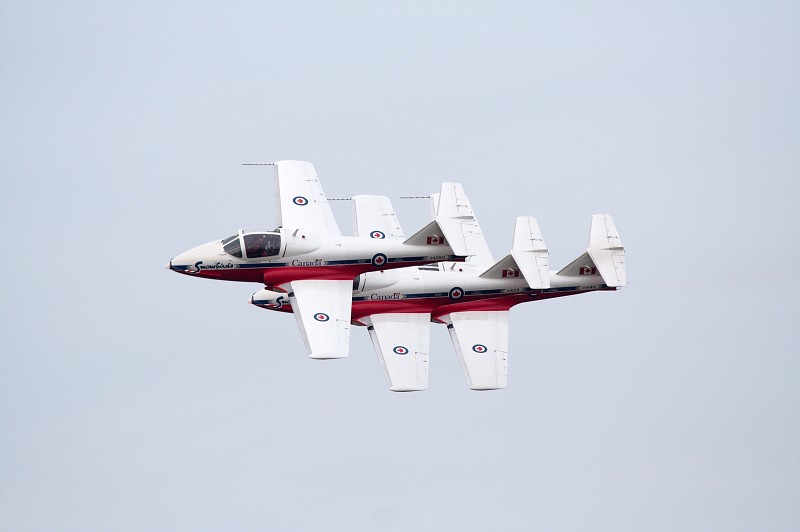 Snowbirds