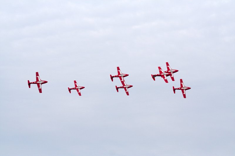 Snowbirds
