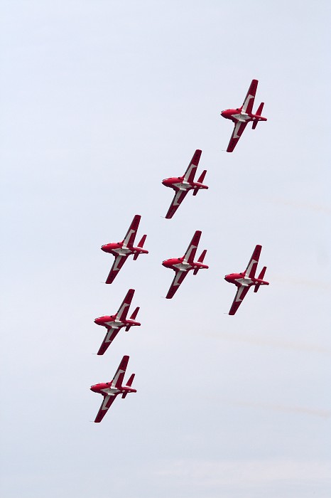 Snowbirds