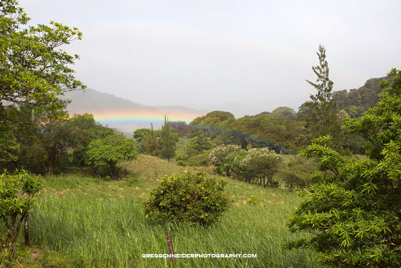 Monteverde rainbow